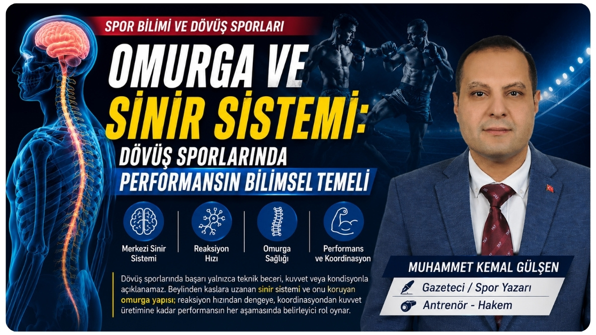 Dövüş Sporlarında Omurga ve Sinir Sisteminin Performansa Etkisi